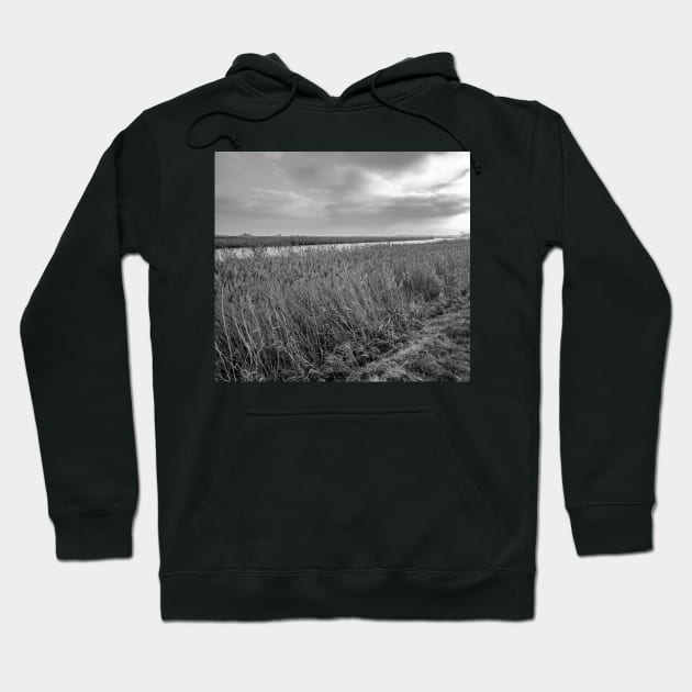 The River Yare in Acle, Norfolk Hoodie by yackers1